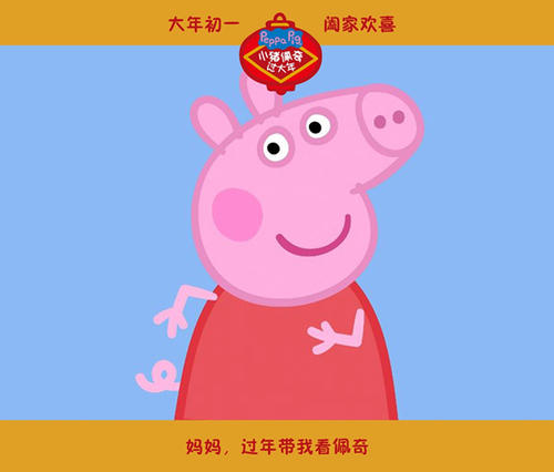 圣拉斐尔生命健康大学文凭